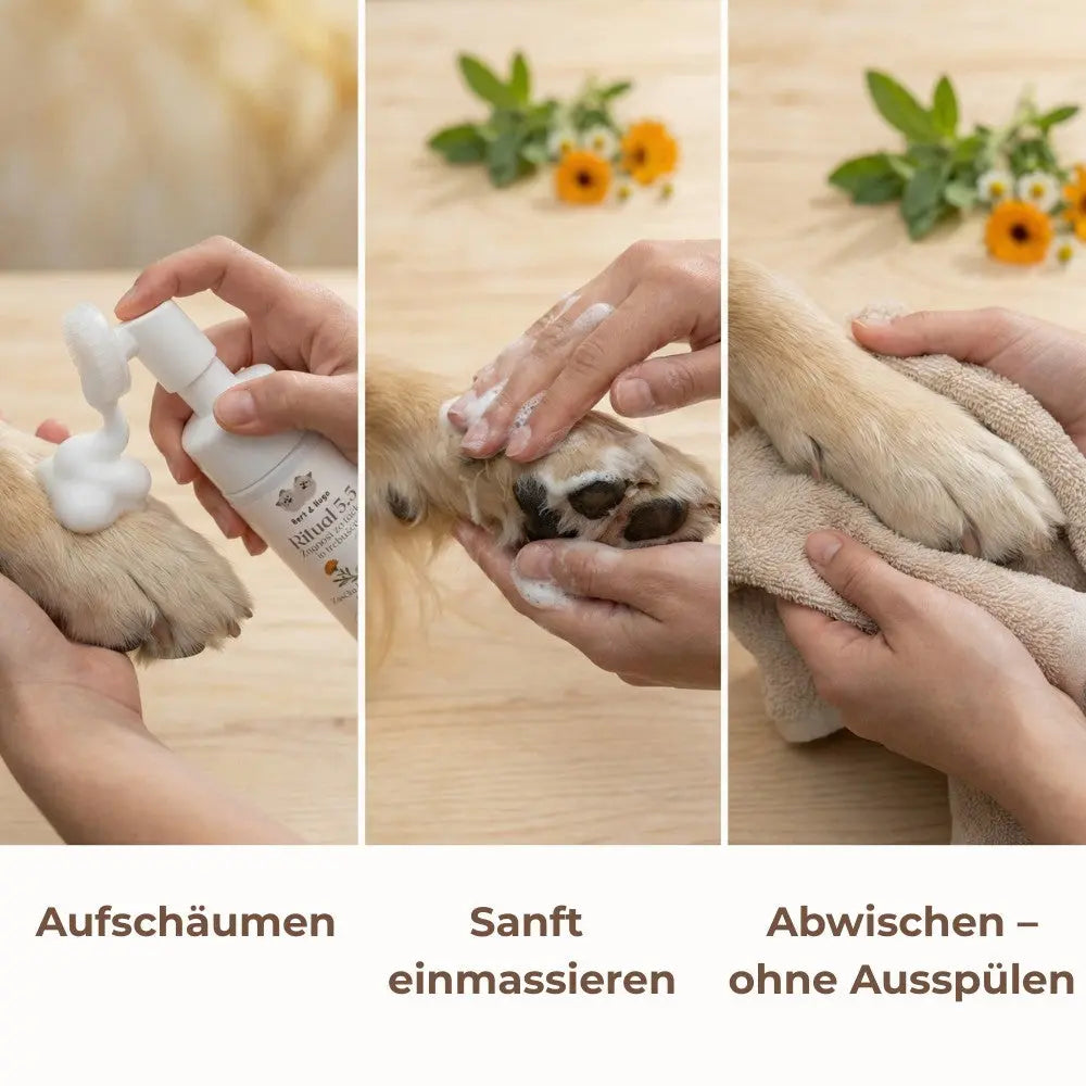 Bert & Hugo Ritual 5.5 – Science for Paws & Tummies
