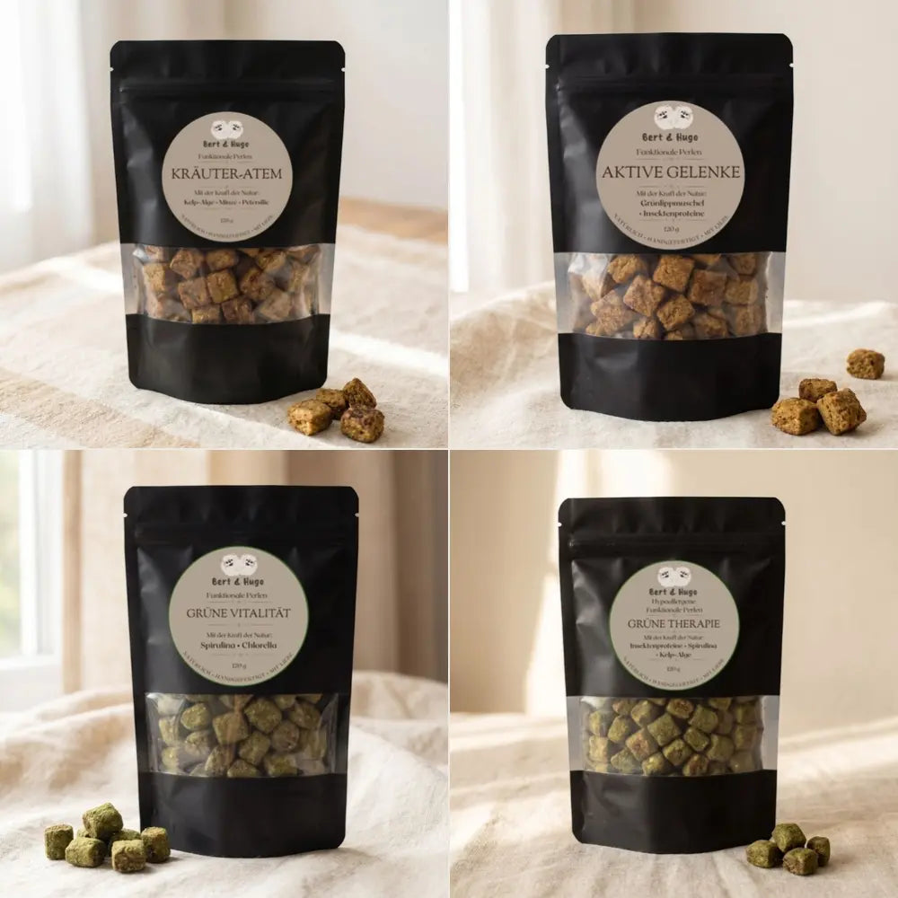 Bert &amp; Hugo large complete collection of functional treats (4 x 120 g)