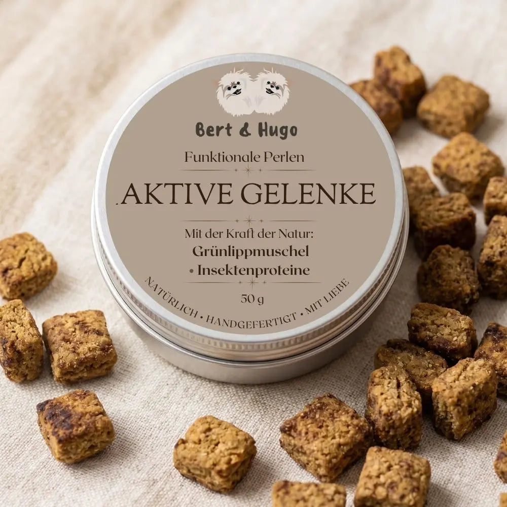 Bert &amp; Hugo Active Joints - Functional Pearls