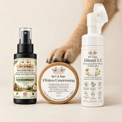 Adventure Trio: Carefree forest walks &amp; premium care for your dog