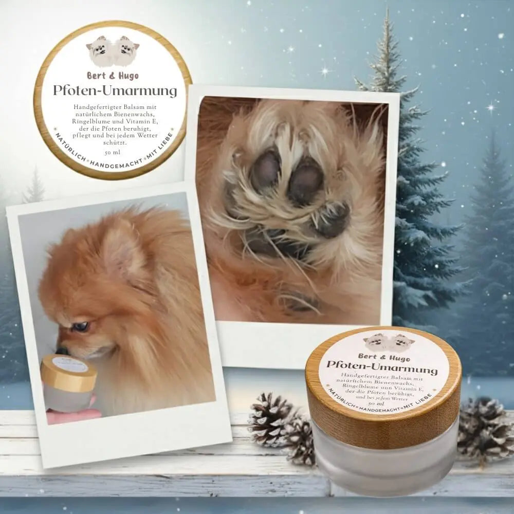 Bert &amp; Hugo Duo Care Set: Ritual 5.5 Science for Paws &amp; Tummies + Paw Hug