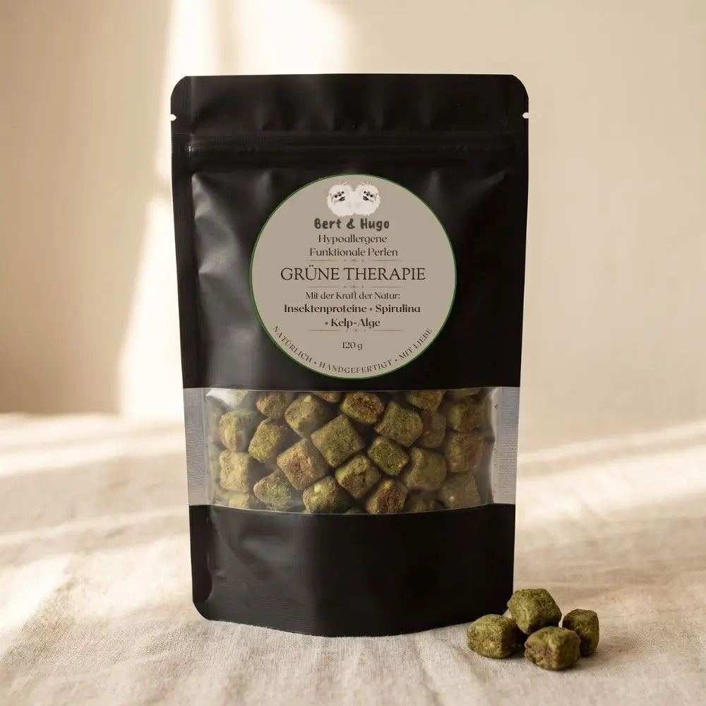 Bert &amp; Hugo large complete collection of functional treats (4 x 120 g)