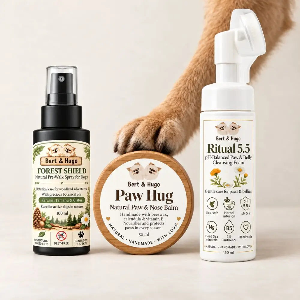 Adventure Trio Forest Shield, Paw Hug and Ritual 5.5 [EN]